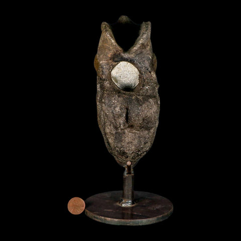 6.2" Hypacrosaurus Dinosaur Fossil Vertebrae Two Medicine FM Montana COA Stand - Fossil Age Minerals