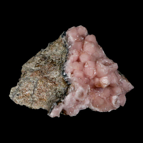2.4" Pink Cobaltoan Calcite Natural Crystal Druzy Cobalt Mineral Bou Azzer Morocco - Fossil Age Minerals