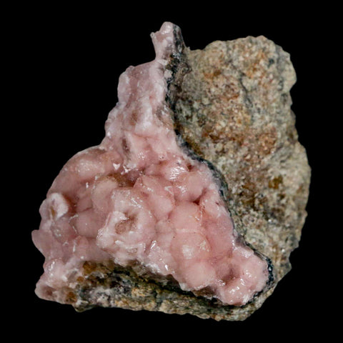 2.4" Pink Cobaltoan Calcite Natural Crystal Druzy Cobalt Mineral Bou Azzer Morocco - Fossil Age Minerals