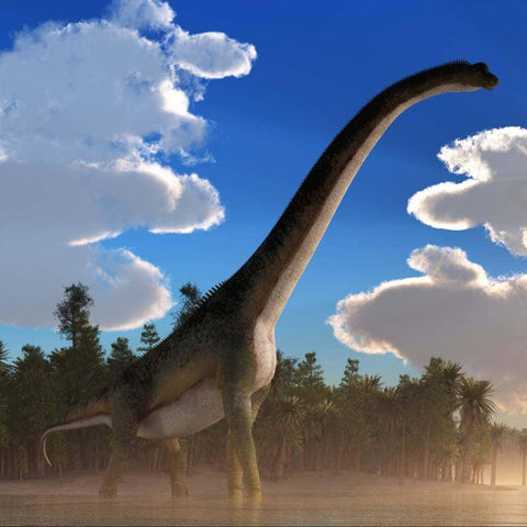 0.9" Jobaria Sauropod Fossil Tooth Middle Jurassic Age Dinosaur Tiourarén FM Niger - Fossil Age Minerals