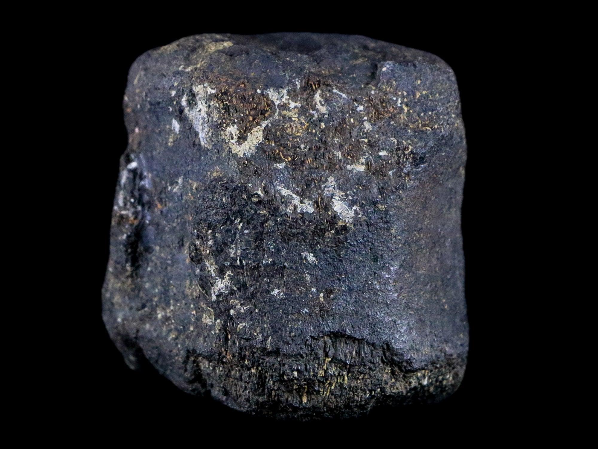 2.1" Hypacrosaurus Dinosaur Fossil Vertebrae Bone Two Medicine FM Montana COA - Fossil Age Minerals