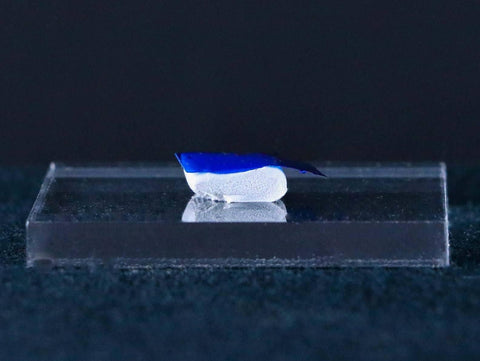 Display Stand And Mineral Tack 0.25"H x 1.50"W x 2.0"L - Fossil Age Minerals