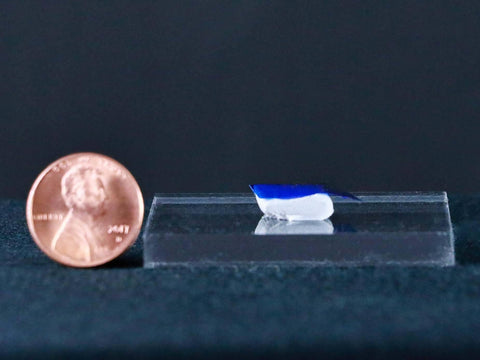 Display Stand And Mineral Tack 0.25"H x 1.50"W x 2.0"L - Fossil Age Minerals