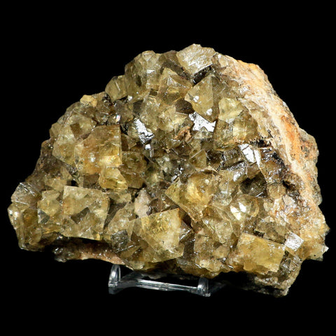 XL 5.1" Natural Yellow Fluorite Cube Crystals On Quartz Crystals Mineral Morocco - Fossil Age Minerals