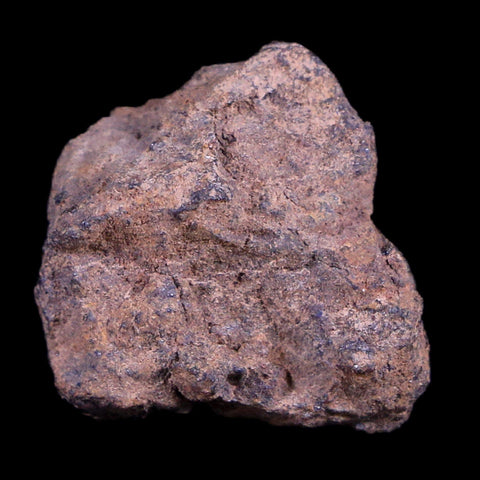 Vaca Muerta Meteorite Riker Display Taltal Antofagasta, Chile Found 1861 6.4 Grams - Fossil Age Minerals