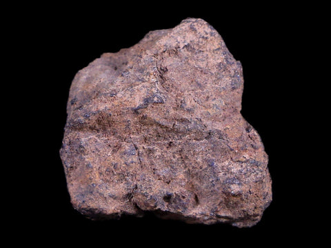 Vaca Muerta Meteorite Riker Display Taltal Antofagasta, Chile Found 1861 6.4 Grams - Fossil Age Minerals