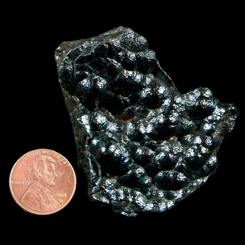 2.1" Hematite Botryoidal Kidney Ore Rock Mineral Specimen Irhoud Mine, Morocco - Fossil Age Minerals