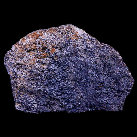 2.1" Lambeosaurus Fossil Bone Judith River FM Montana Cretaceous Dinosaur COA - Fossil Age Minerals