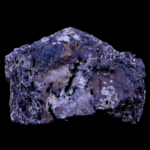 1.9" Lambeosaurus Fossil Bone Judith River FM Montana Cretaceous Dinosaur COA - Fossil Age Minerals