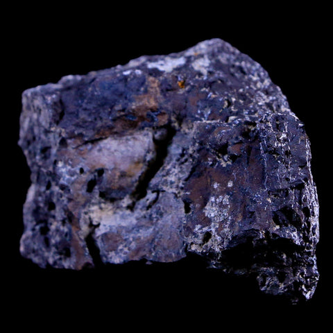 1.9" Lambeosaurus Fossil Bone Judith River FM Montana Cretaceous Dinosaur COA - Fossil Age Minerals