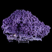 XL 8.2" Purple Grape Agate Botryoidal Crystal Druzy Cluster Mineral Sulawesi Island A+