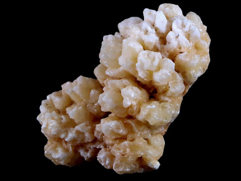 2.6" Aragonite Cave Calcite Crystal Cluster Mineral Specimen 3.1 OZ Morocco - Fossil Age Minerals