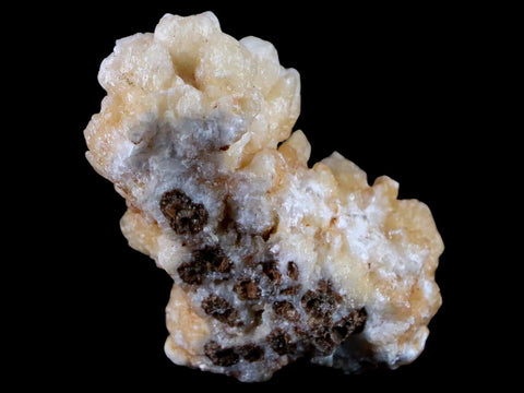 2.6" Aragonite Cave Calcite Crystal Cluster Mineral Specimen 3.1 OZ Morocco - Fossil Age Minerals
