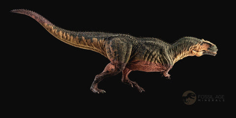 8.8" Gorgosaurus Tyrannosaur Dinosaur Fossil Vertebrae Process Two Medicine FM MT COA - Fossil Age Minerals