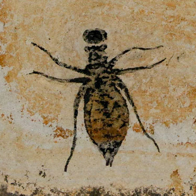 Can Insect Fossils Still Contain Ancient DNA?