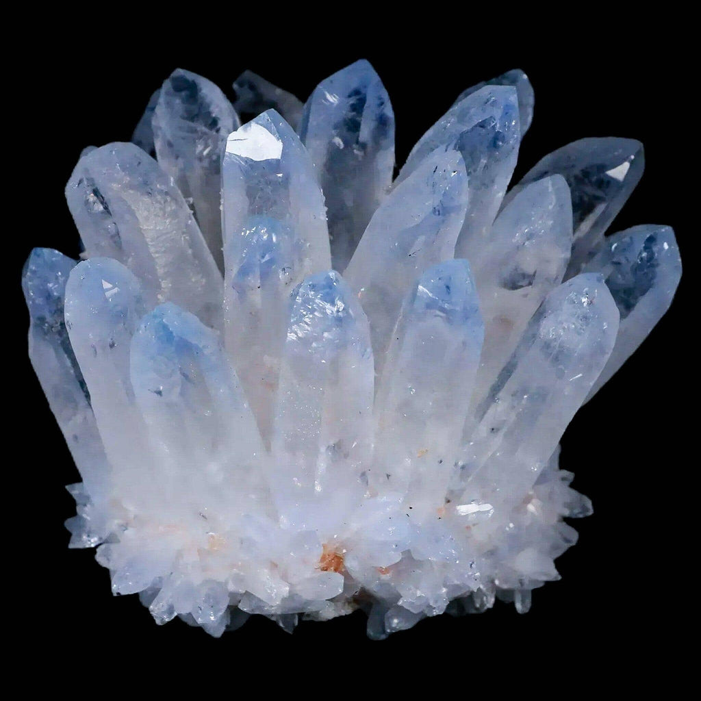 Looking for Rare and Beautiful Crystals? Check Out Our Exclusive Collection