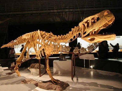 Everything You Need To Know About Abelisauridae