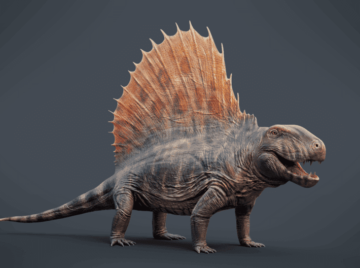 Know Unknown Facts About Permian Reptile Fossils