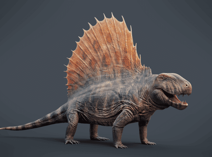 Know Unknown Facts About Permian Reptile Fossils