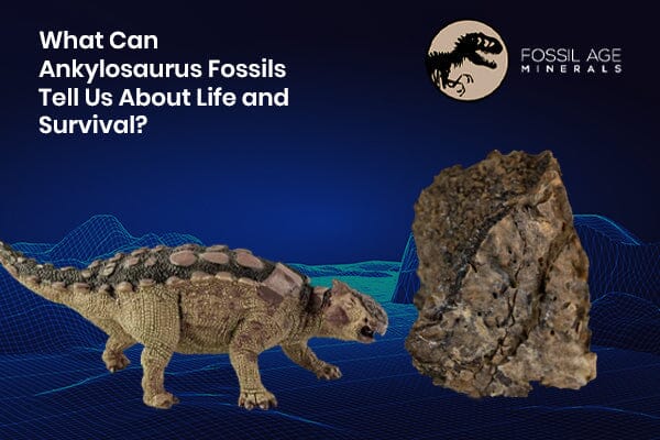What Can Ankylosaurus Fossils Tell Us About Life and Survival?