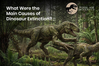 What Were the Main Causes of Dinosaur Extinction?