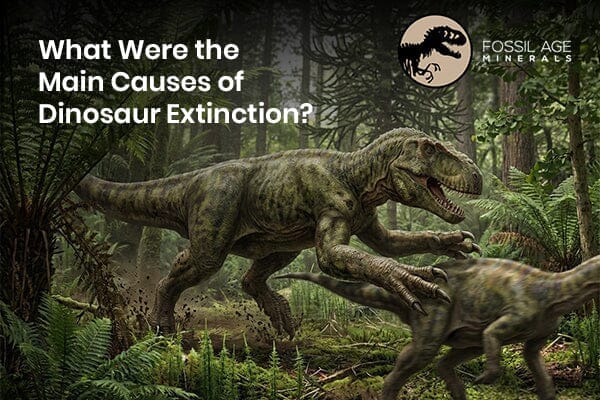 What Were the Main Causes of Dinosaur Extinction?