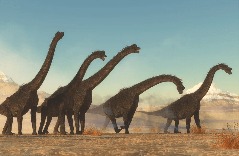 New Dinosaur Discoveries: A Puzzle from Prehistory
