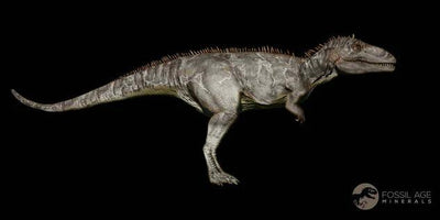 Explore The World Of Carcharodontosaurus To Discover Magic Underneath