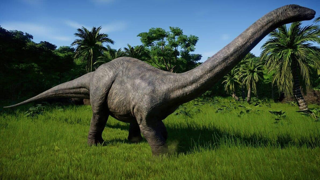 Know Everything About The Diplodocus Dinosaurs