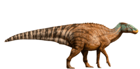 Edmontosaurus
