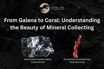 From Galena to Coral: Understanding the Beauty of Mineral Collecting