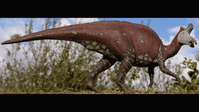 Lambeosaurus Fossils for Sale - Get At The Lowest Prices!