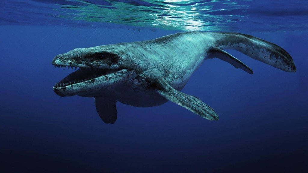 Know Everything About Prognathodon Fossil