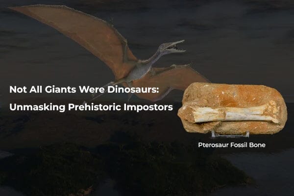Not All Giants Were Dinosaurs: Unmasking Prehistoric Impostors