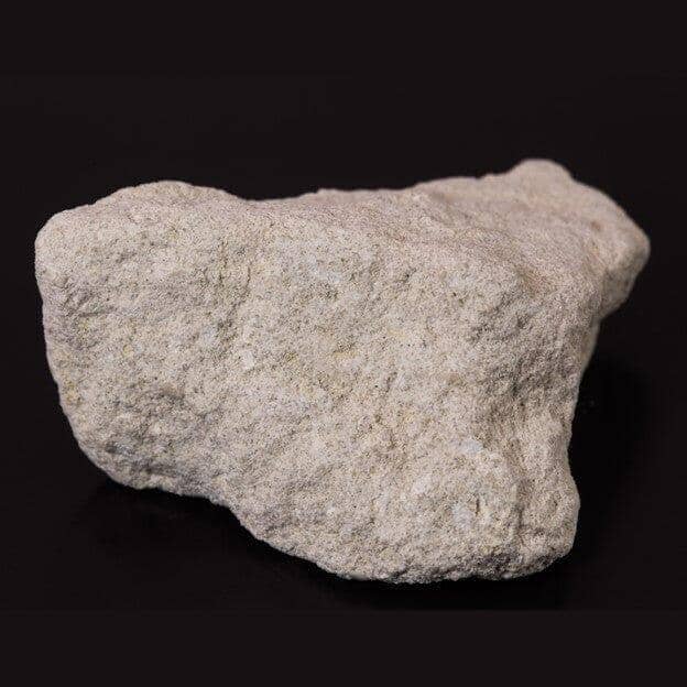 The Richest Fossil Limestone Hotspots for Finding Fossils