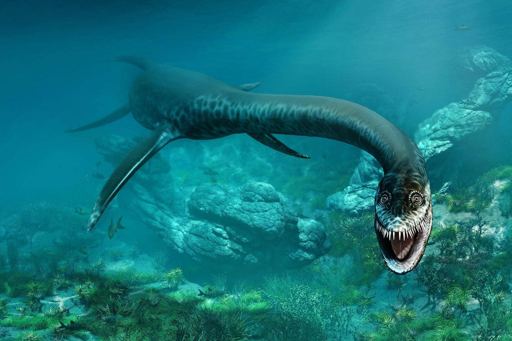 An Adventure With Plesiosaurus Is A Journey To Another Time And Place