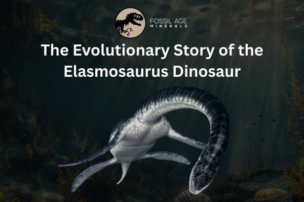 The Evolutionary Story of the Elasmosaurus Dinosaur
