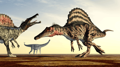 Some Unbelievable Facts About Spinosaurus Fossils