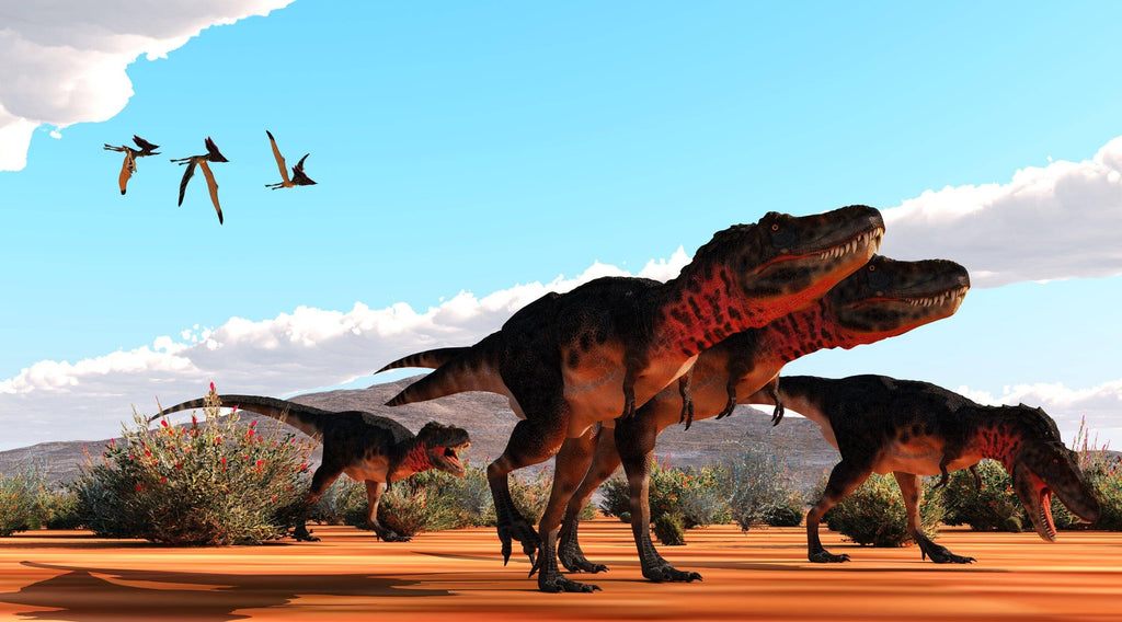 What Are Evolutionary Significance Of TRex Skulls in Theropod Dinosaurs?