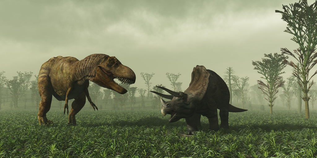 How Did The Most Popular Dinosaurs Adapt To Their Environments?