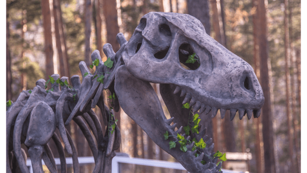 What Are The Fascinating Facts About Skeleton Dinosaur Bones?