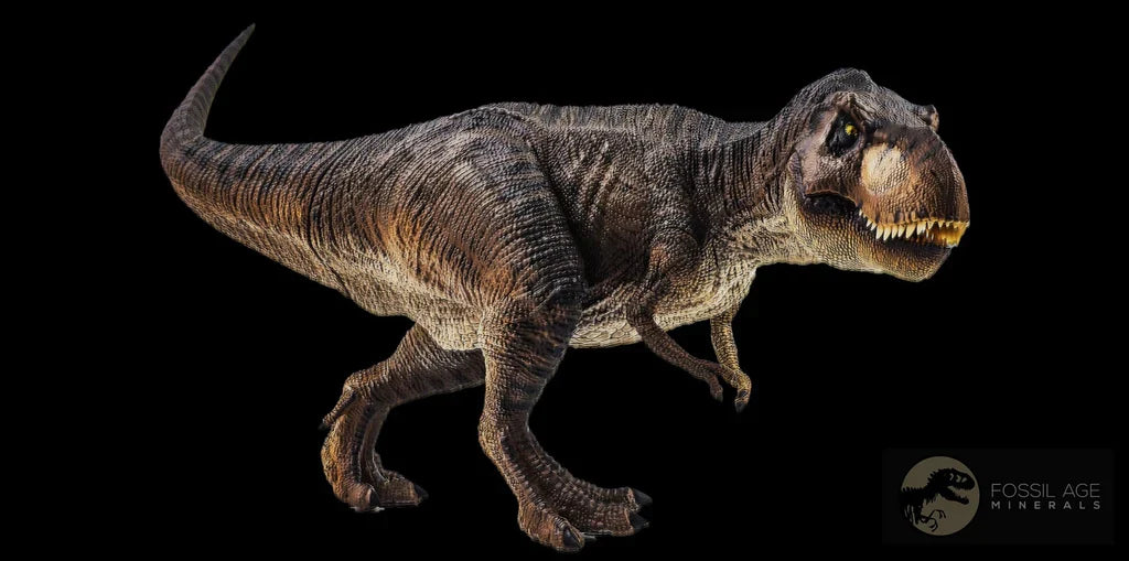 Exploring Dinosaurs - A Journey Through Prehistoric Wonders