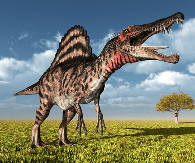 Here Are The Things You Didn’t Know About Spinosaurus!