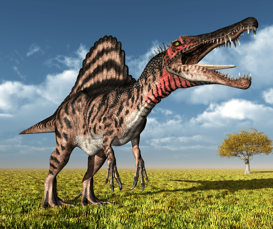 Here Are The Things You Didn’t Know About Spinosaurus!