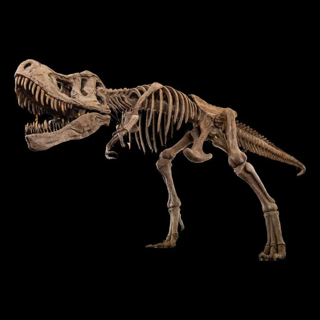 What is the Most Complete Dinosaur Fossil Ever Found?
