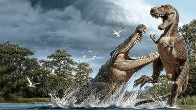 Evolution And History Of Crocodiles