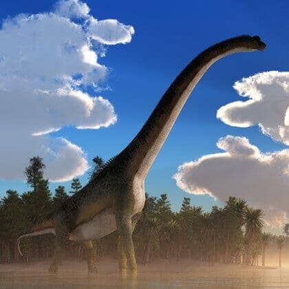 Breaking Down the Skin Coverings Among Different Kinds of Dinosaurs