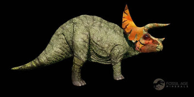 How to Authenticate and Preserve a Real Triceratops Skull