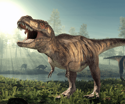 Know Interesting Facts About Tyrannosaurus Rex Fossils For Sale