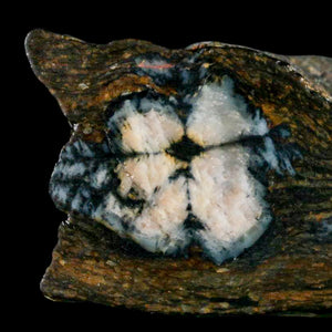 Andalucite Mineral Collection